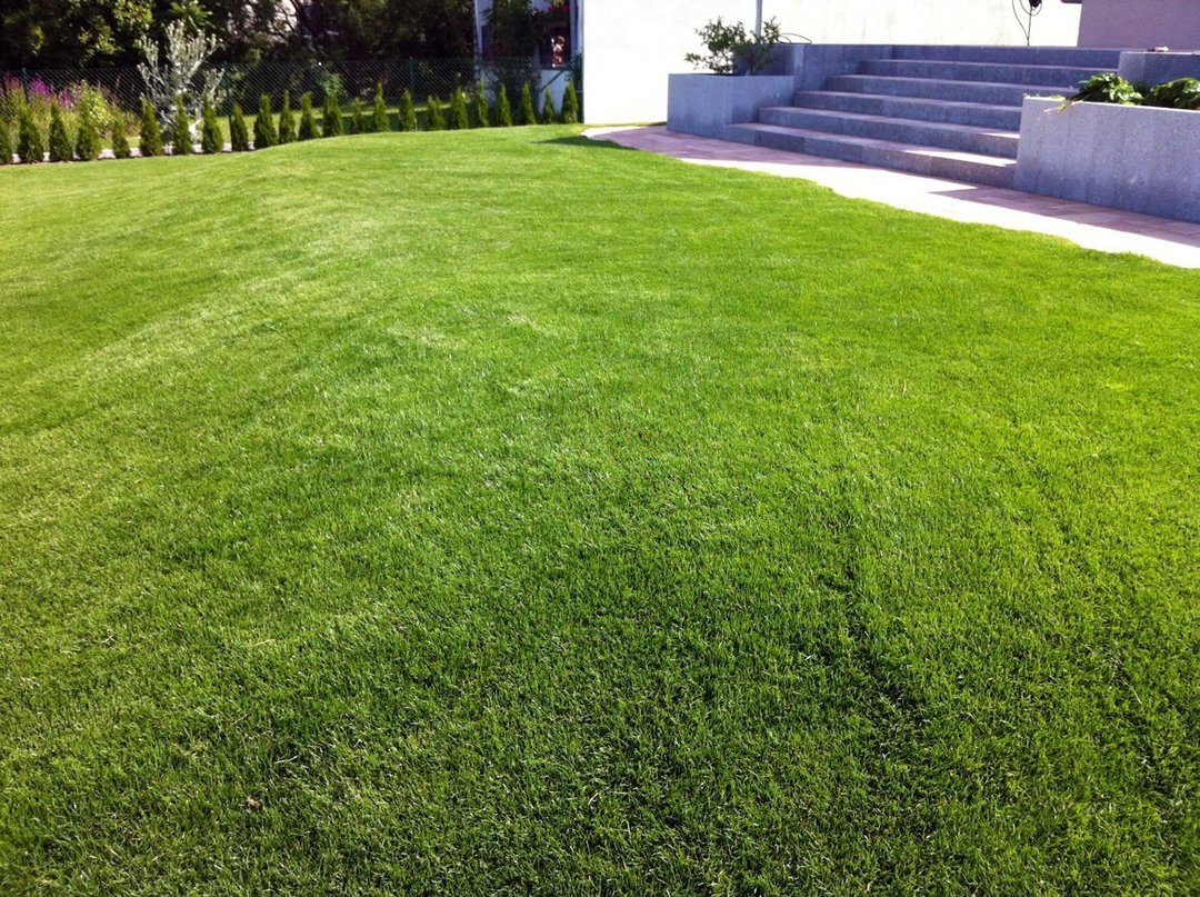 Rasenfläche mit geraden Einfassungen und angrenzender Terrasse Rasenfläche mit geraden Einfassungen und angrenzender Terrasse